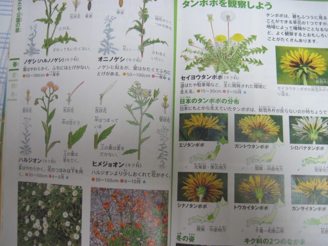 最高の植物 図鑑 おすすめ こども すべての美しい花の画像